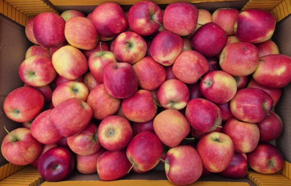 Pommes Story "Bio" 1kg