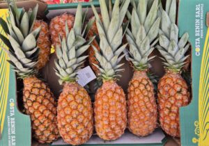 Bananes Kaki Grenade ananas