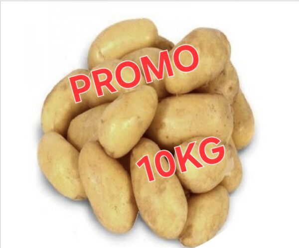 10kg Goumandine Chair ferme