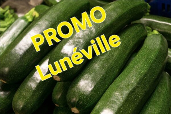 Courgette de Lunéville