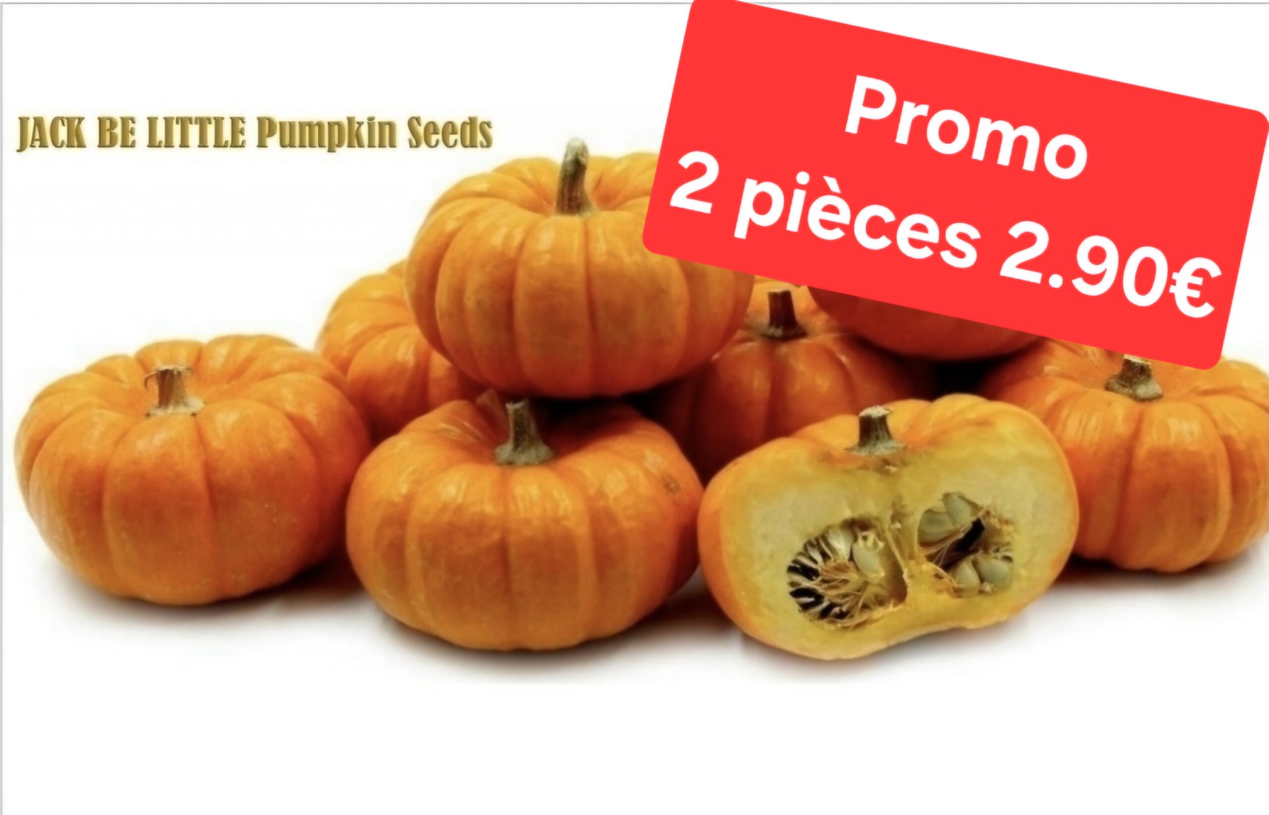 2 x Jack Be Little Mini citrouille Ă farcir đ