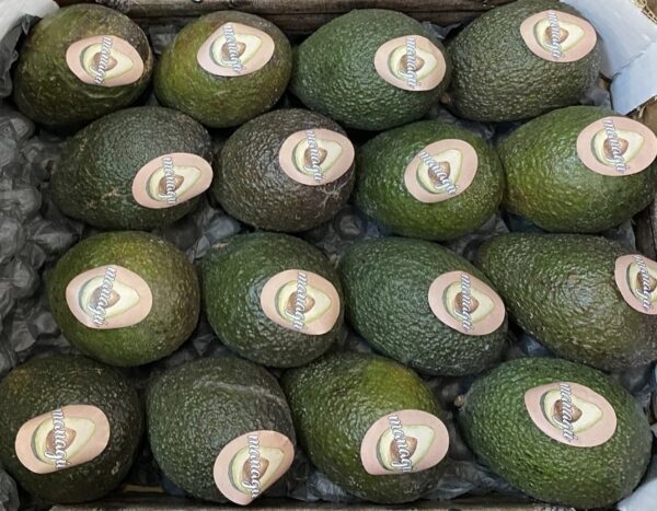 2 x Avocats Hass "Pré mûri "