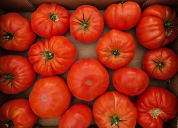 500gr Tomates Marmande