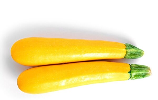 1 x Courgette Jaune