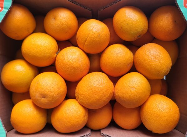 Oranges powel 1kg