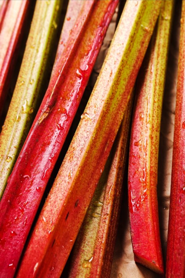 Rhubarbe 1kg