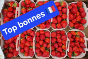 Melon Fraise Banane Raisin Ananas