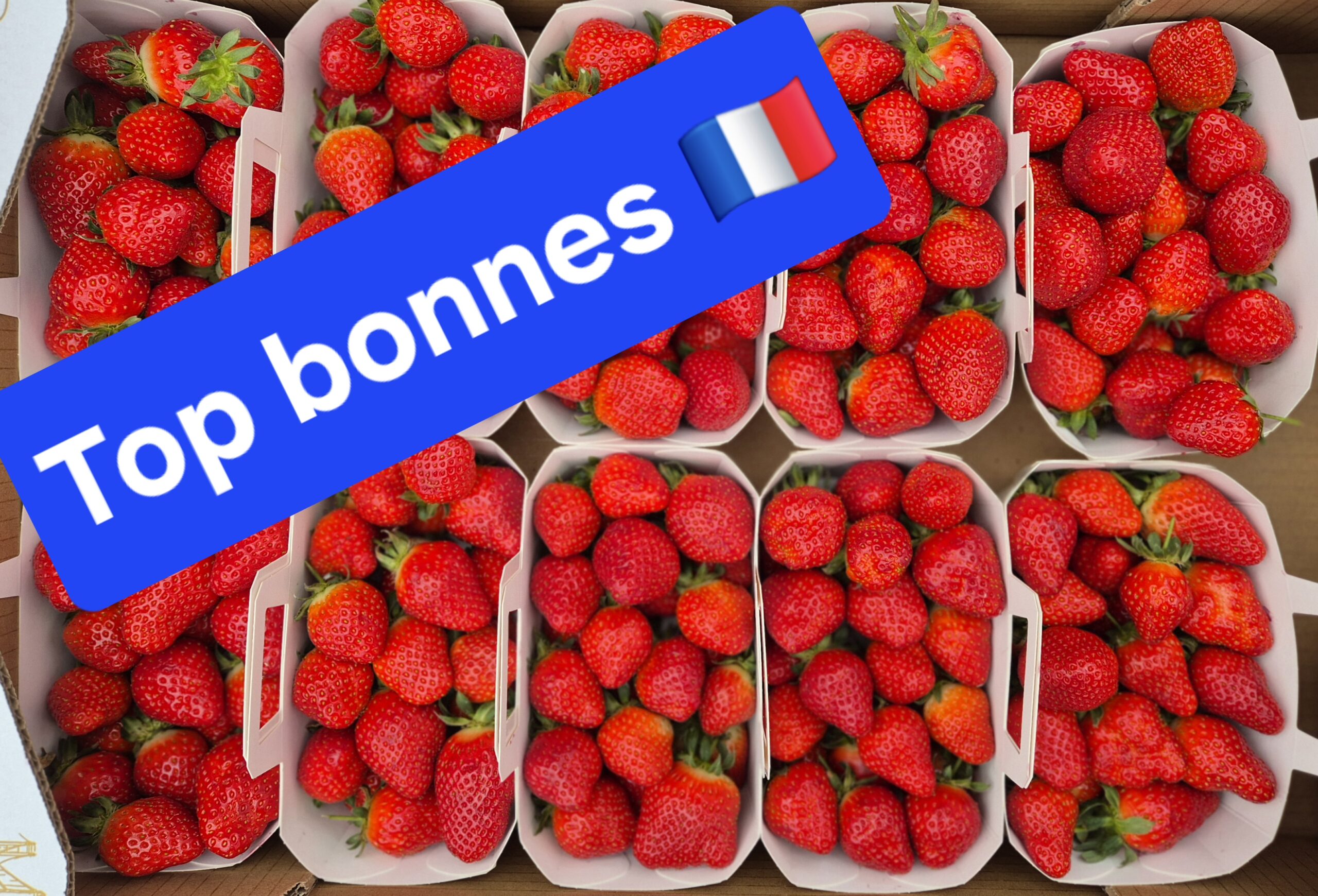 Melon Fraise Banane Raisin Ananas