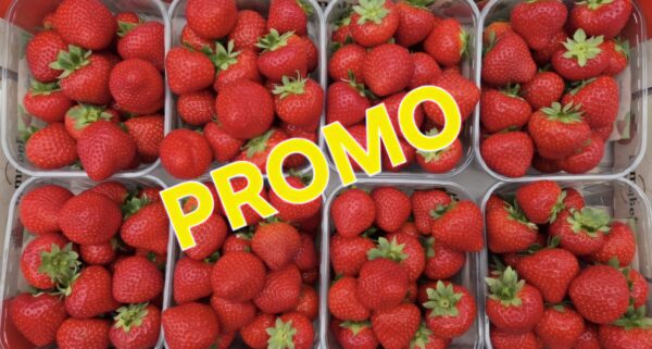 Fraises à confiture par 4kg ->30€