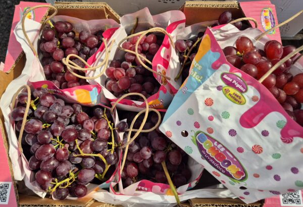 Raisin Bonbons 🍬 Sans pépin 500gr