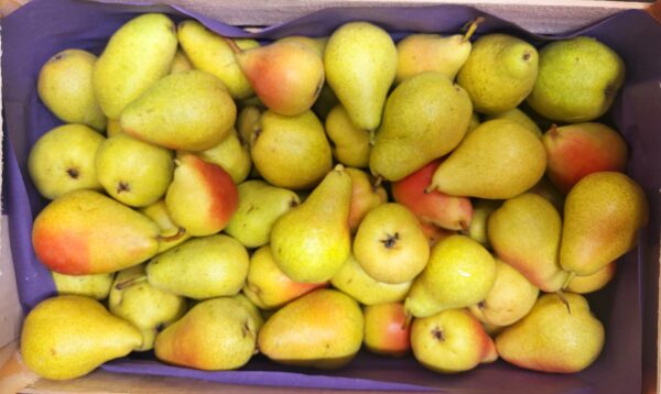 Poire Guyot "Bio" 1kg 🇲🇫