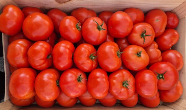 Tomates Rondes 1kg