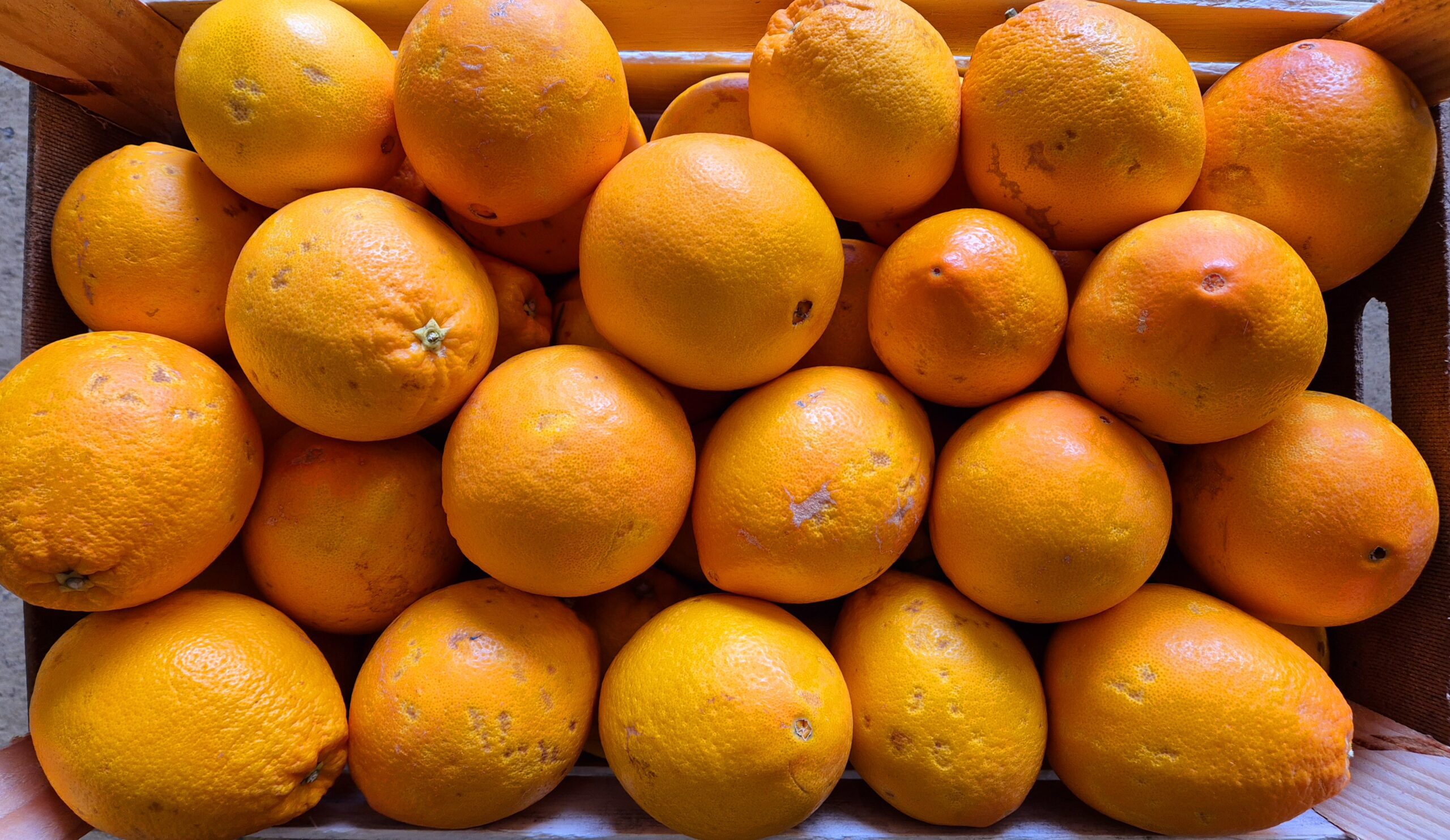 1kg Oranges Sucrées et juteuses