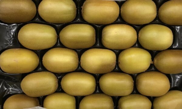 1 x Kiwi Jaune