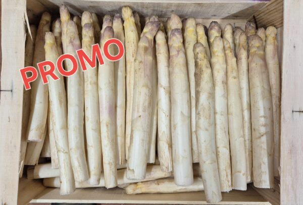 2ème Choix Asperges cat 2