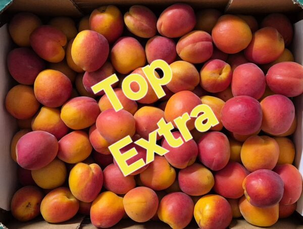 Abricots Nelson 🇲🇫 500gr
