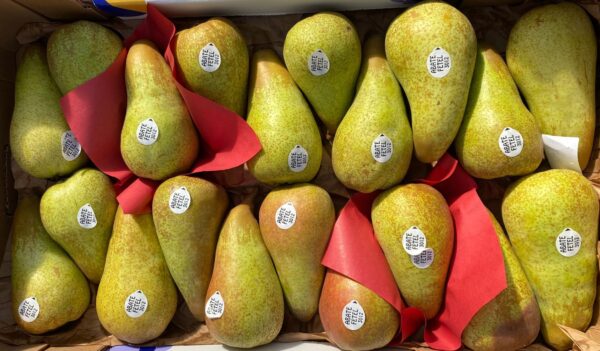 1 x Poire Abatte