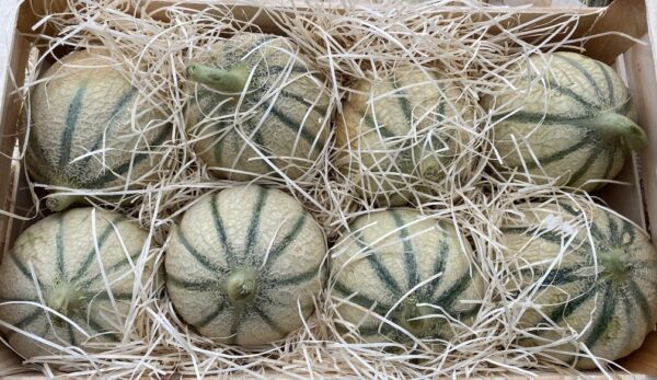 Gros Melon de Camargue de jeudi à dimanche