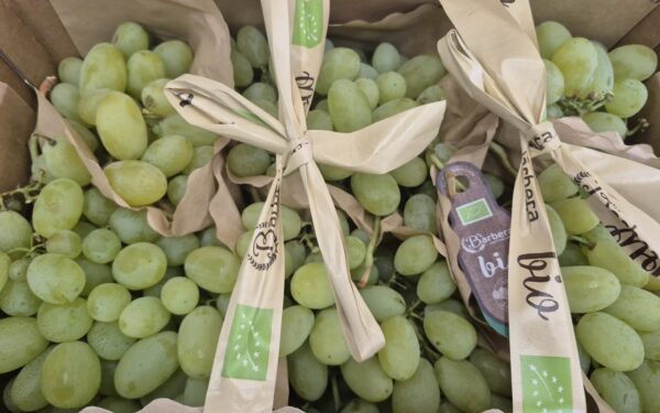 Raisin Vitoria 500gr 🇮🇹