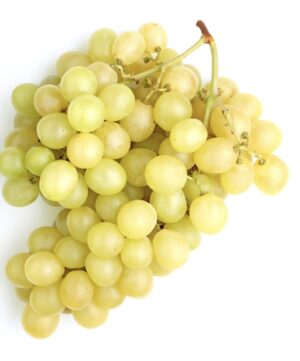 Raisins Kaki Grenade Datte