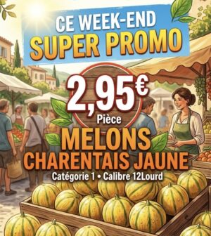 Melon Nectarine Brugnon