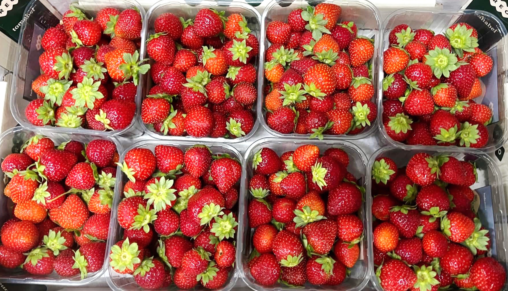 Cerise Nectarine Fraises
